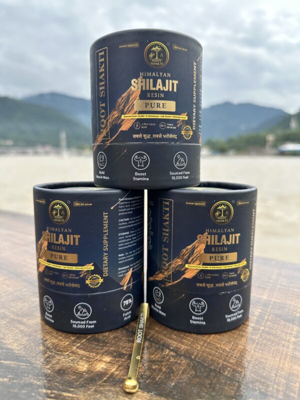Root Shakti Himalayan Shilajit Root Shakti Himalayan Shilajit