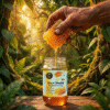 root shakti real organic and pure honey in india