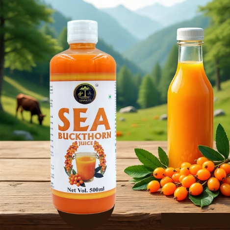 Root Shakti Sea Buckthorn Pulp